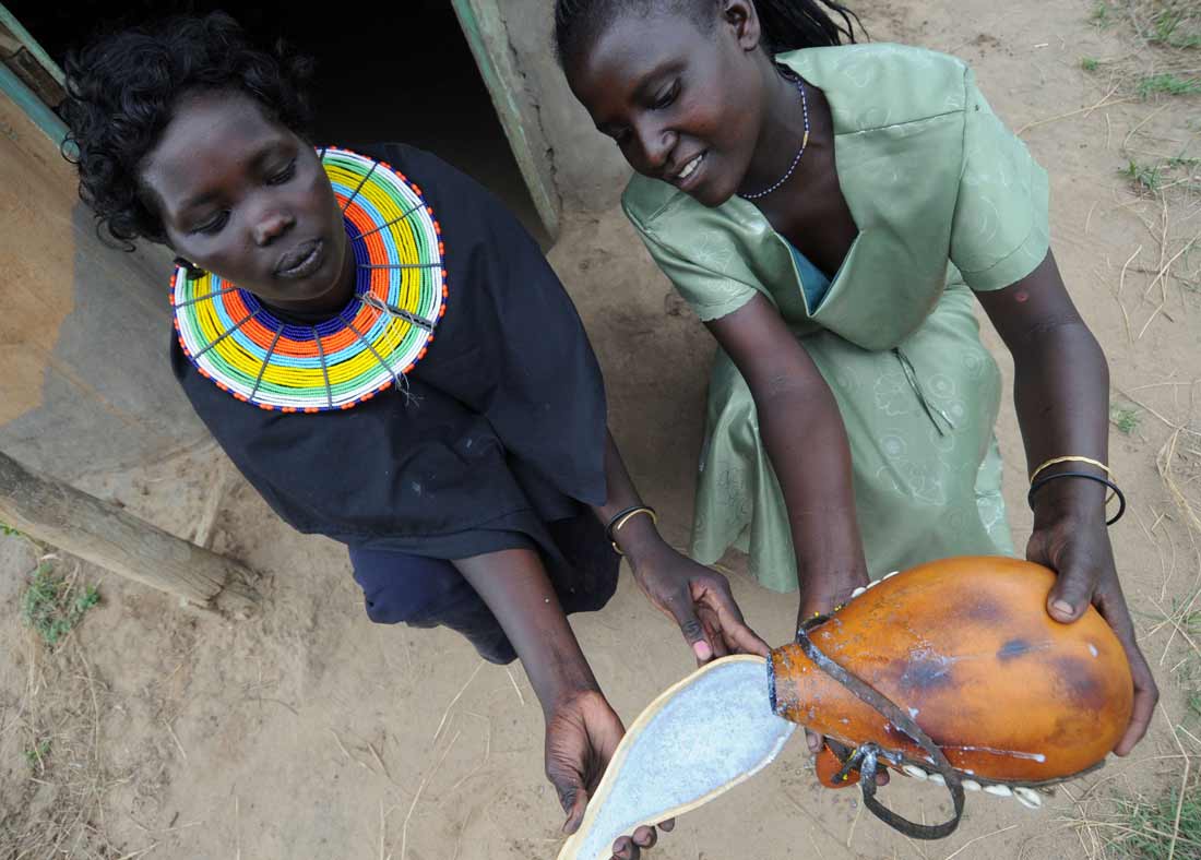 Ash yoghurt Biodiversity for Food and Nutrition